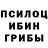 Галлюциногенные грибы GOLDEN TEACHER Natalia 42