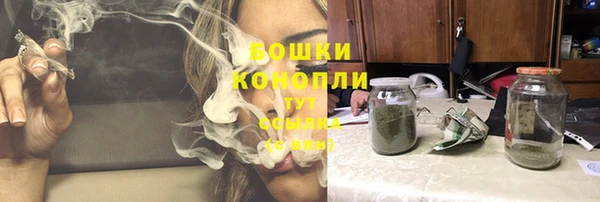 PSILOCYBIN Гусиноозёрск