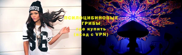 PSILOCYBIN Гусиноозёрск