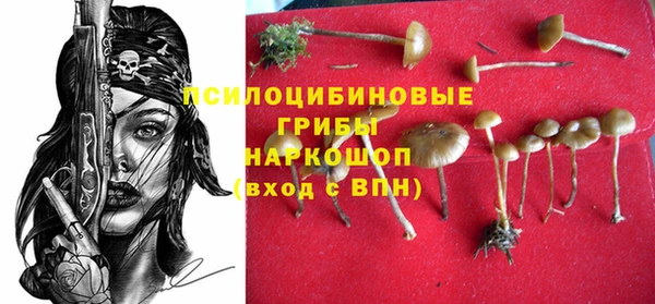 PSILOCYBIN Гусиноозёрск