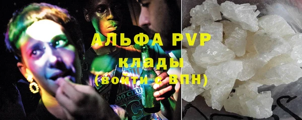 PSILOCYBIN Гусиноозёрск