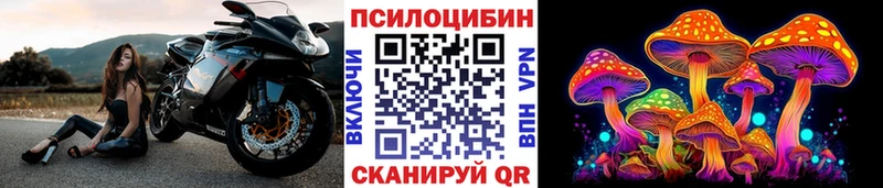 Псилоцибиновые грибы мухоморы  закладки  Александровское 