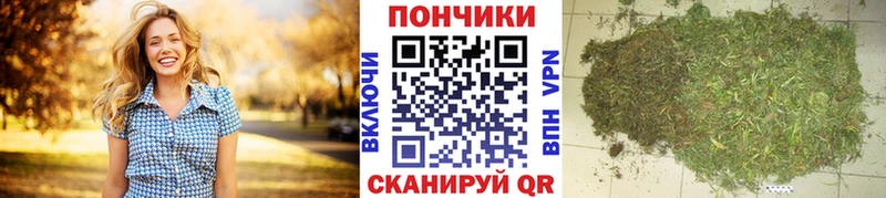 купить   Александровское  МАРИХУАНА конопля 